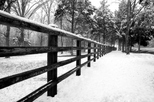istock_000001093044small